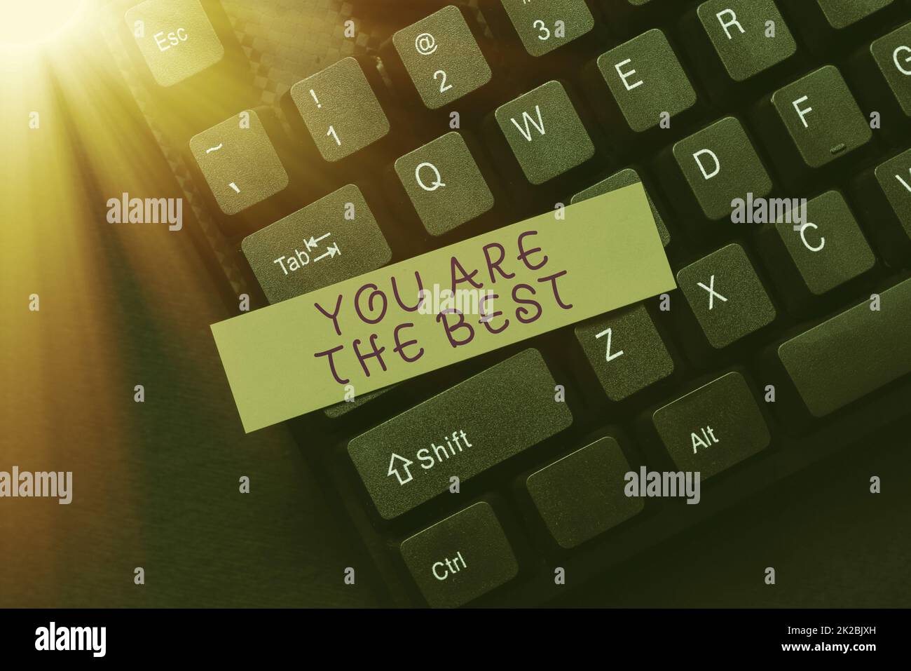 Segno di testo che indica che sei il migliore. Concetto che significa grato a qualcuno che fa meglio di chiunque altro Programmatore che crea nuovo software, codifica digitando linguaggio di programmazione Foto Stock