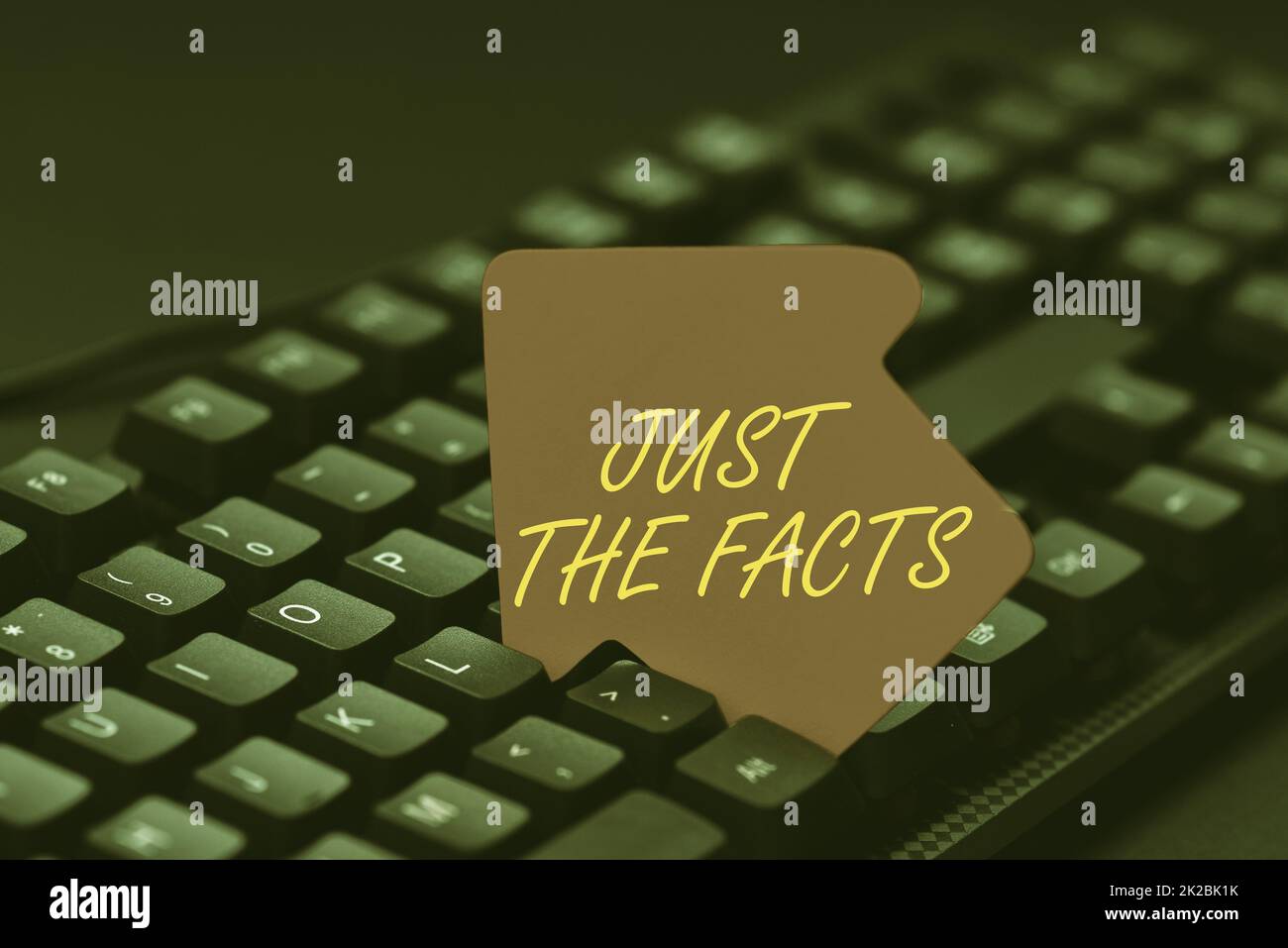 Scrittura che visualizza il testo appena i fatti. Presentazione aziendale per avere le informazioni corrette sui dettagli esatti che immettono la parola chiave e la descrizione dell'immagine, digitando definizione e significato della parola Foto Stock