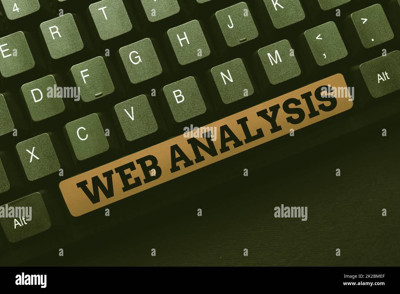 Firma visualizzazione analisi Web. Panoramica aziendale Web Analysis Typing Program Code script, Abstract Download nuovo giornale online Foto Stock