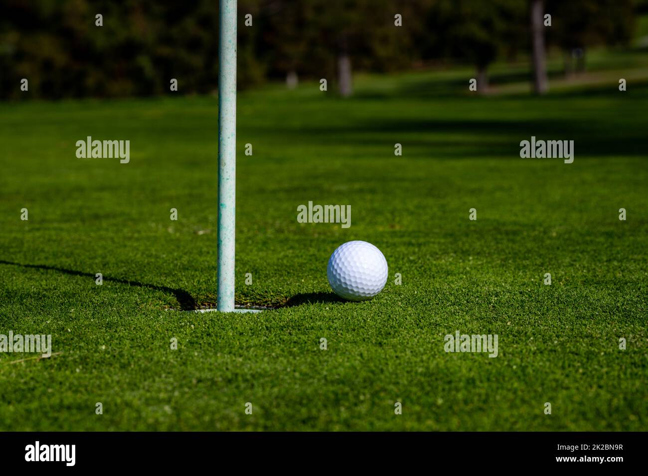 Palla da golf su labbro di tazza su sfondo di erba. Campo da golf. Foto Stock