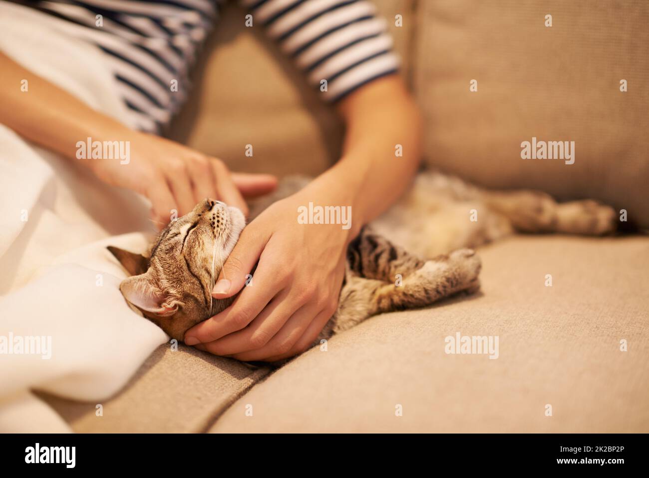 Il mio piccolo furball. Una giovane donna seduta a casa con il suo gatto. Foto Stock