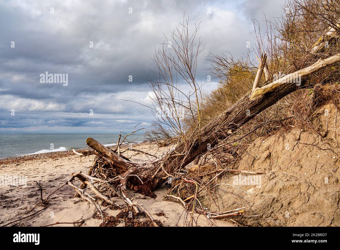 Spiaggia sulle rive del Mar Baltico vicino a Meschendorf, Germania Foto Stock