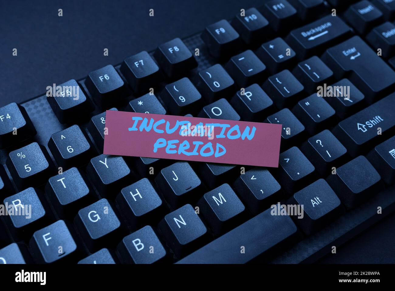 Periodo di incubazione del testo scritto a mano. Parola per tempo trascorso a partire da essere esposti a un agente infettivo immettendo informazioni importanti on-line, digitando divertente Internet Blog Foto Stock