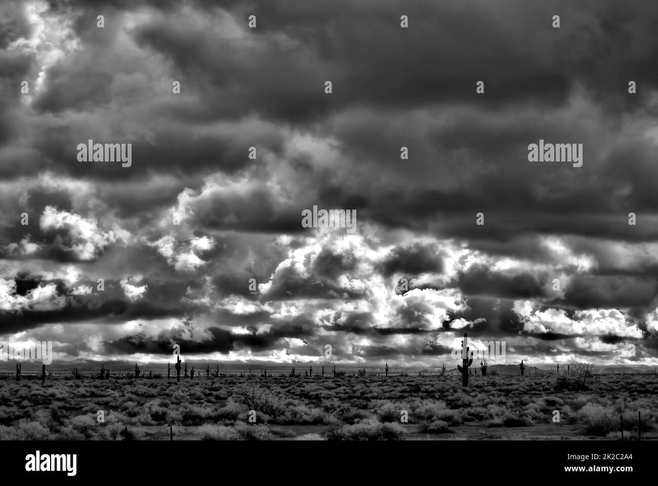 Infrarosso sonora Desert Arizona Foto Stock