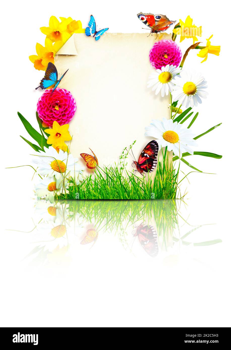 Composizione dei fiori. Cornice fotografica, fiori primaverili su sfondo pergamena. Foto Stock