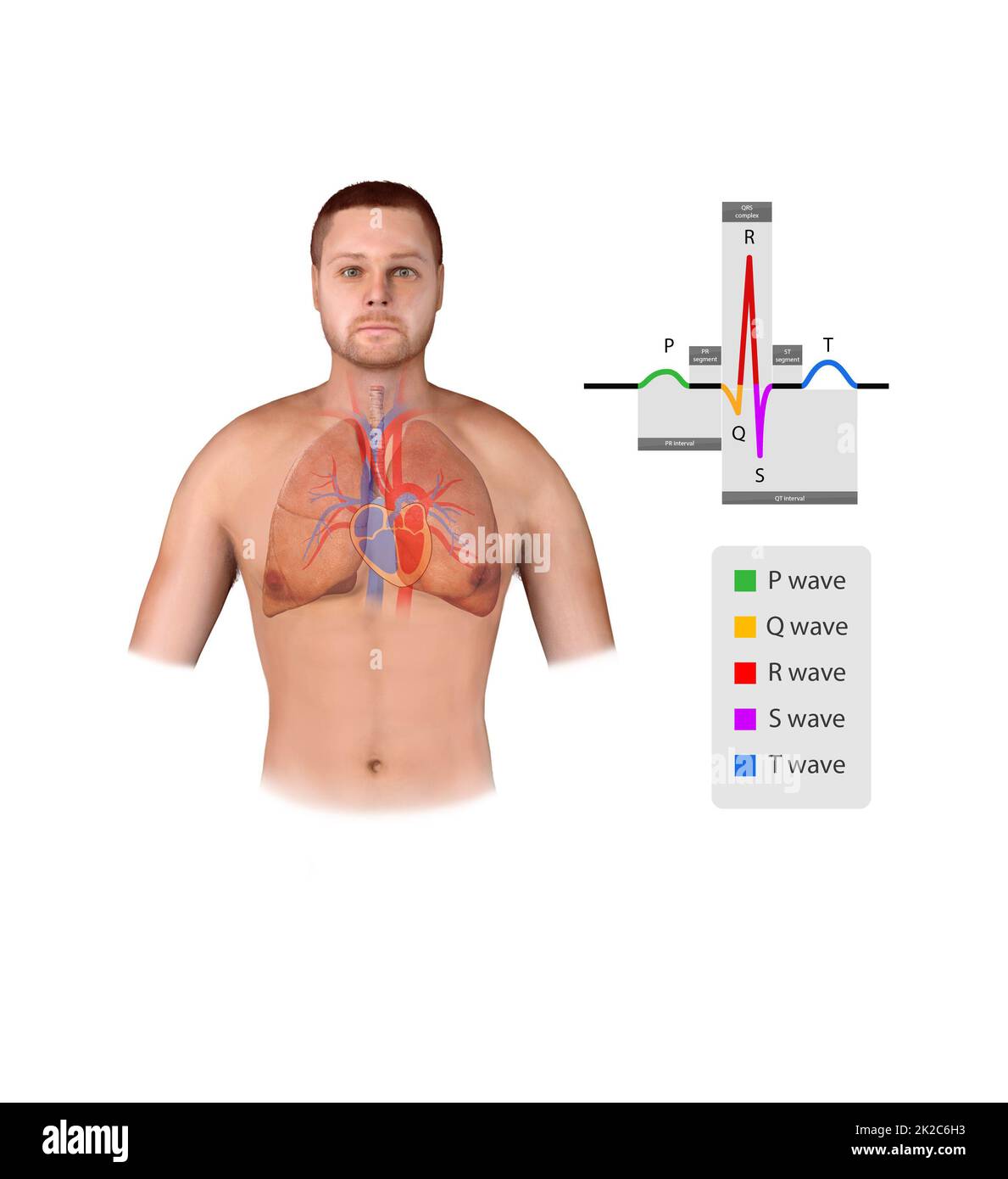 Icona della linea del battito cardiaco ECG. Simbolo del logo dell'ospedale heartbeat Pulse. immagine illustrativa. Isolato su sfondo bianco. Foto Stock