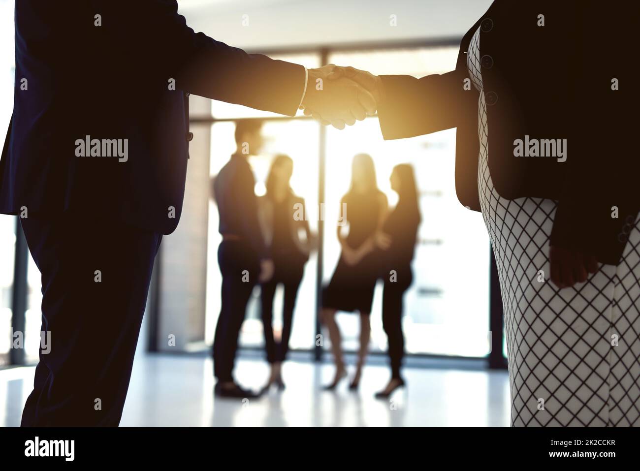 Iniziamo e facciamo in modo che le cose migliori accadano insieme. Scatto corto di due uomini d'affari che scuotono le mani in un ufficio con i colleghi in background. Foto Stock