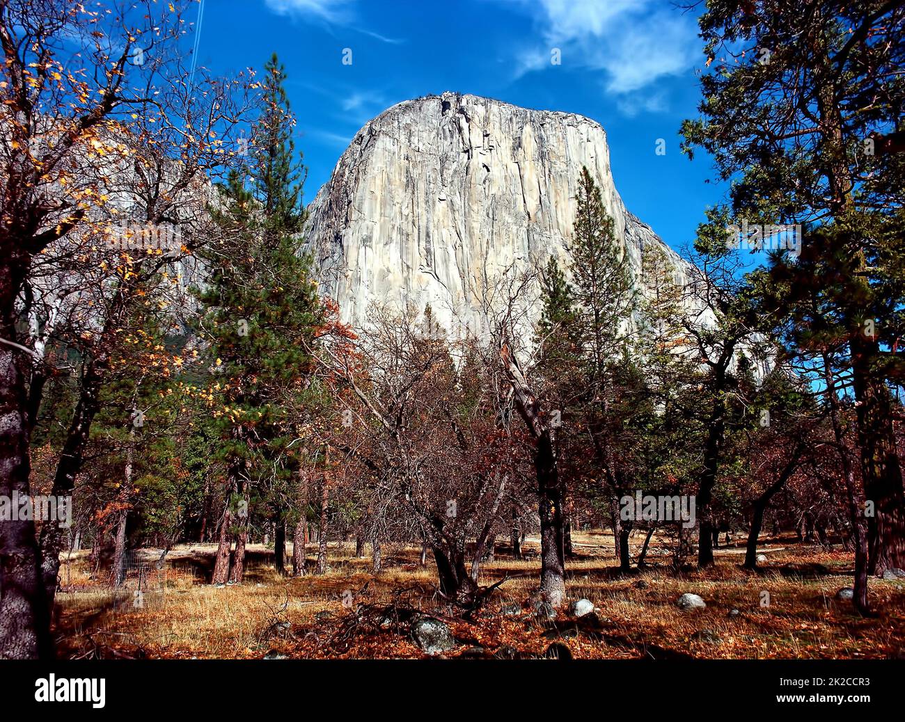 El Capitan montagna Yosemite Foto Stock