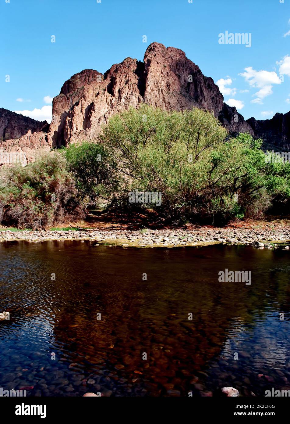 Salt River, Uury Mountain Park, Arizona Foto Stock