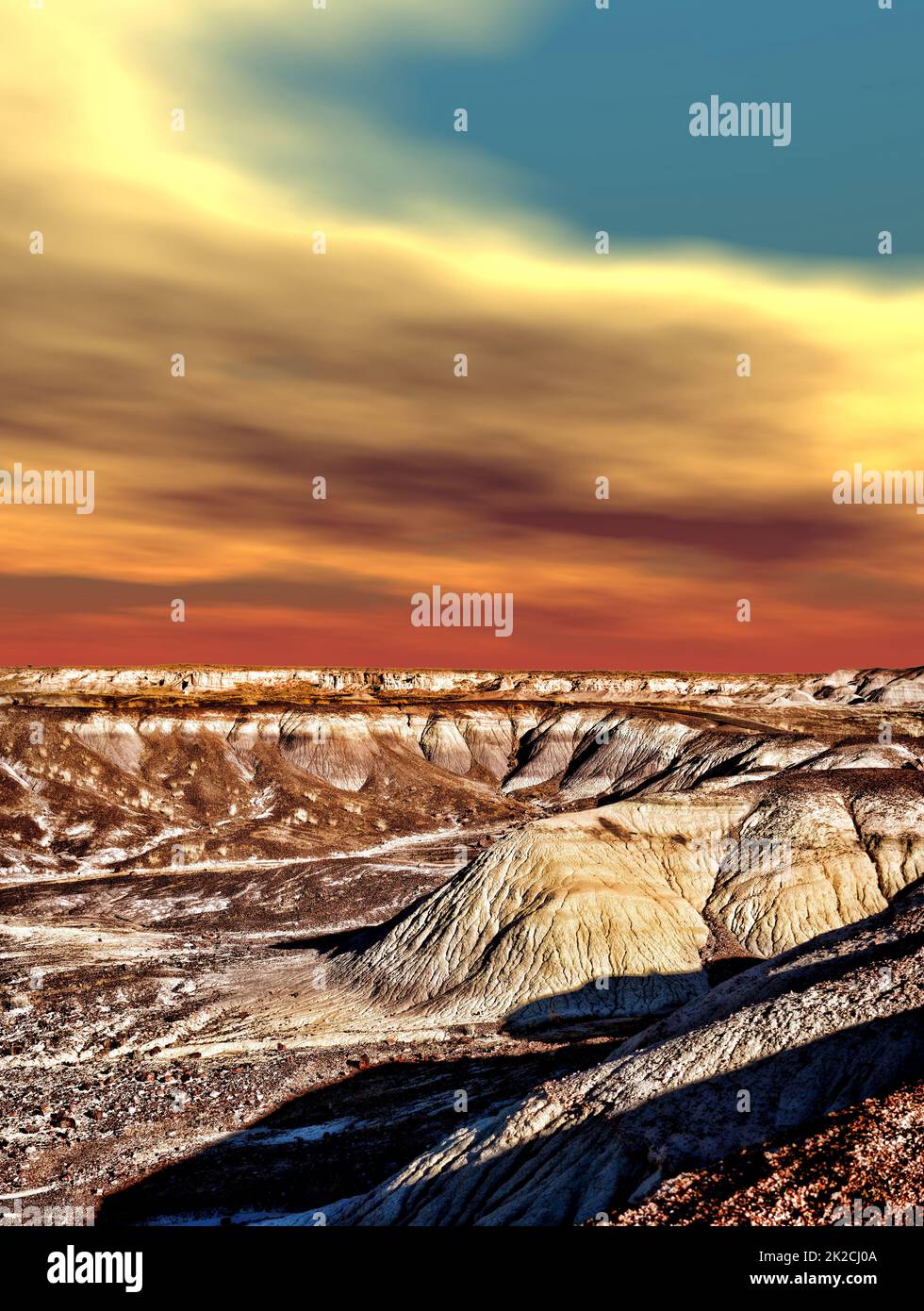 Foresta pietrificata in Arizona Foto Stock