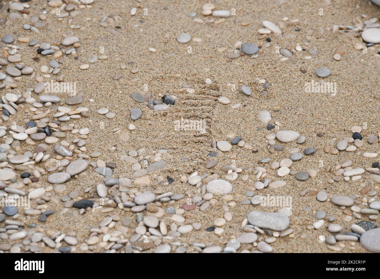 Pietre grandi, piccole, chiare, scure sulla spiaggia di pietra di Albir, Provincia di Alicante, Costa Blanca, Spagna Foto Stock