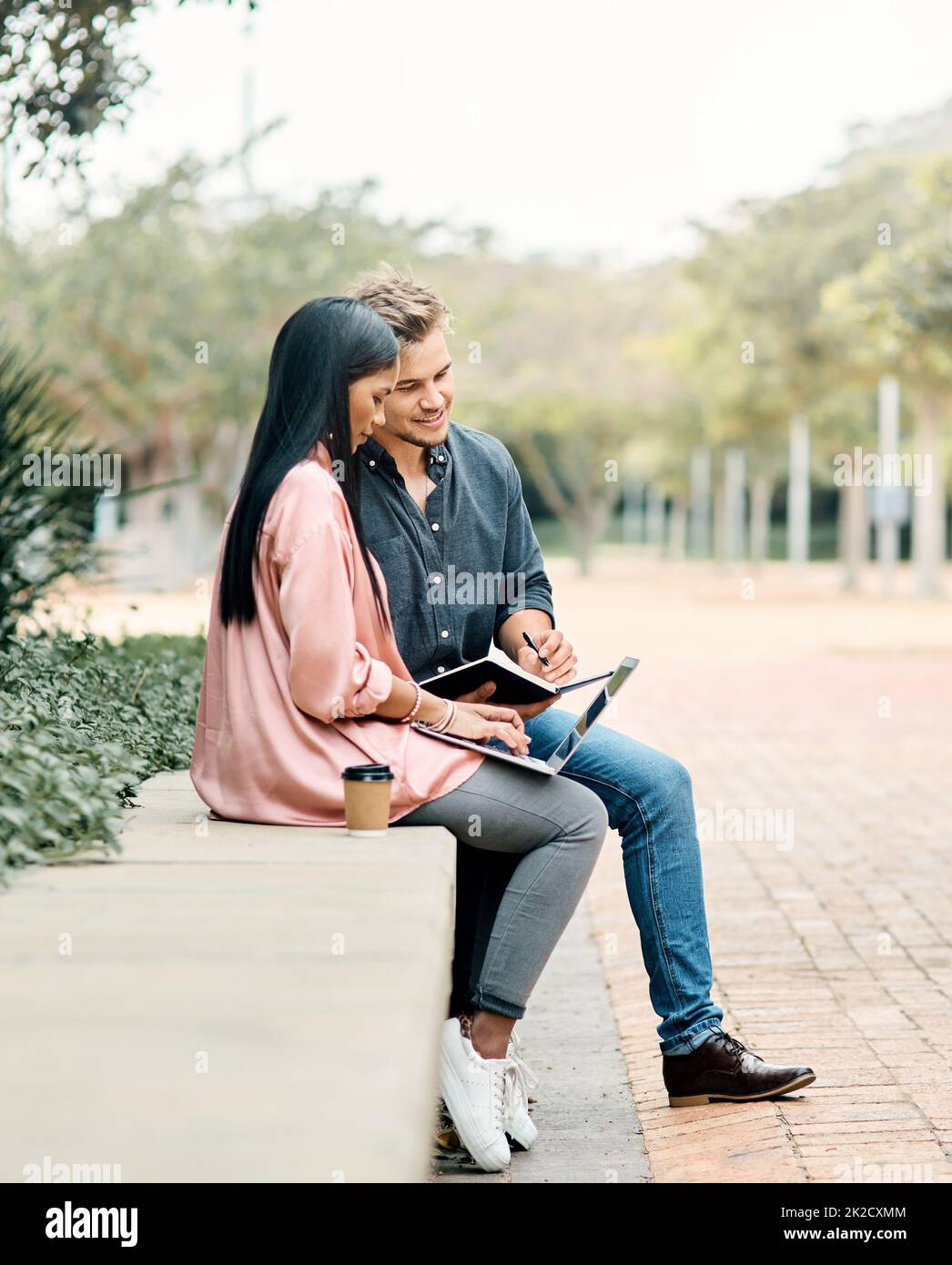 Quando lo studente è pronto, viene visualizzato il master. Scatto di due giovani studenti che utilizzano un computer portatile mentre si siedono all'esterno del campus. Foto Stock