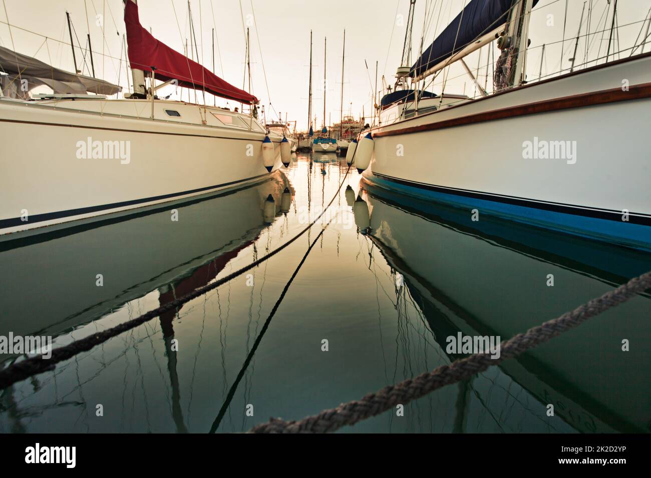 Porto tranquillo. Shot di yacht ormeggiati in un porto. Foto Stock