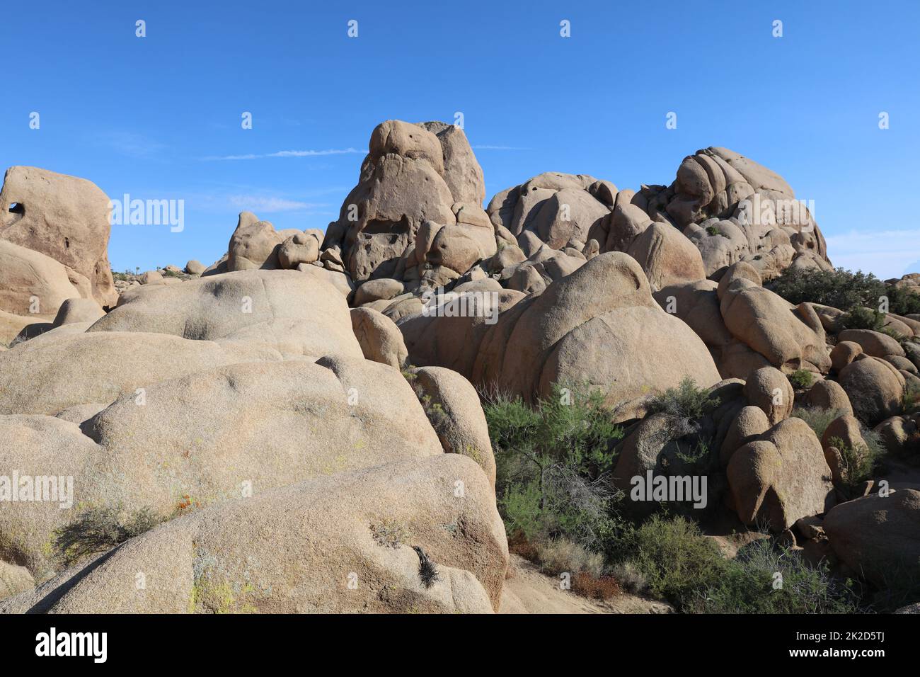 Formazione rocciosa presso l'Hidden Valley Trail nel Joshua Tree National Park. California. STATI UNITI Foto Stock
