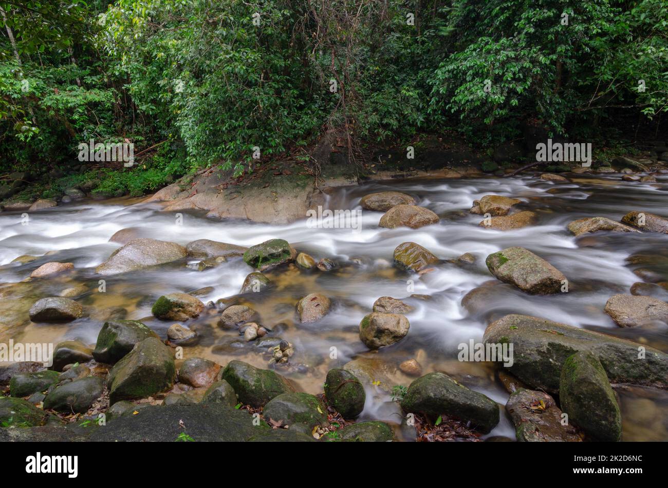 Il fiume della cascata scorre sulla roccia nella foresta pluviale Foto Stock