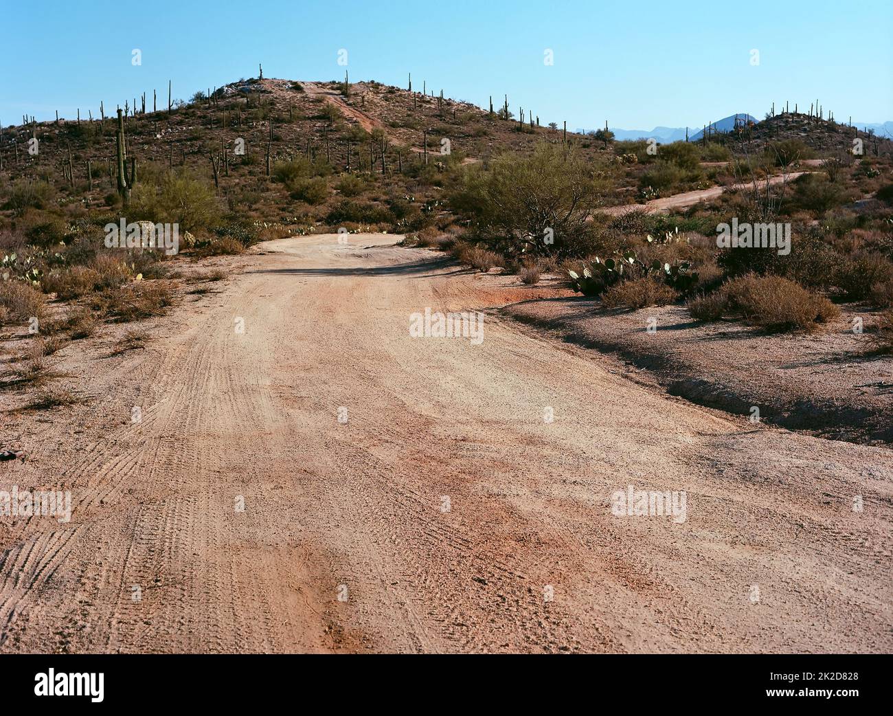 Desert Road sonora Desert Arizona Foto Stock