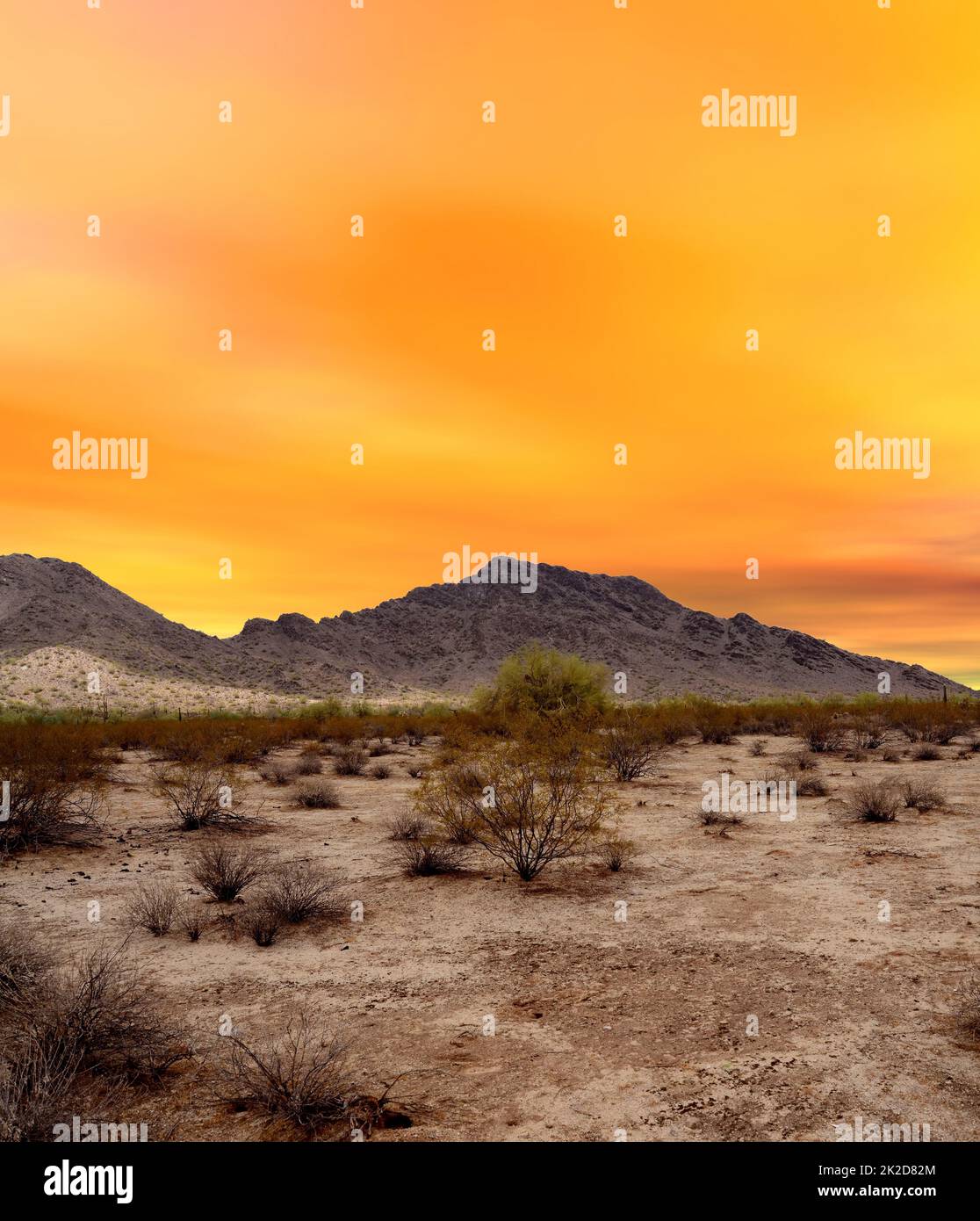 Sonora Desert Sunset Arizona Foto Stock