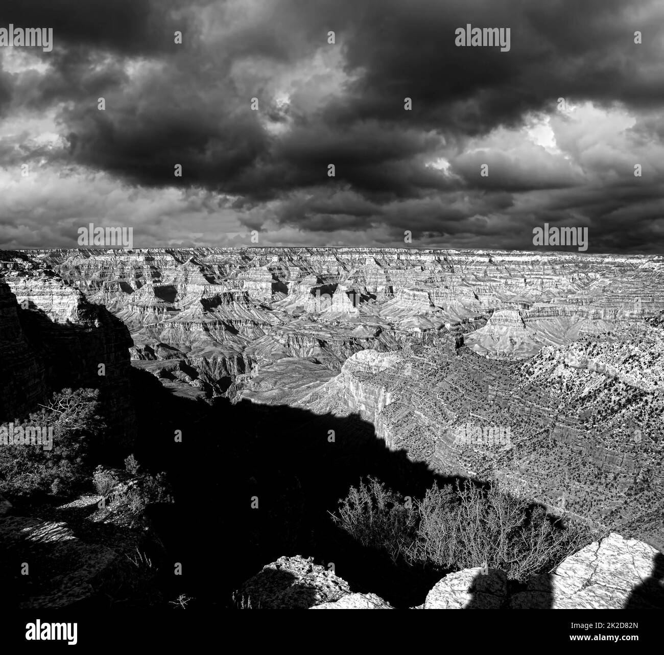 Giorno nuvoloso in bianco e nero Grand Canyon Arizona Foto Stock