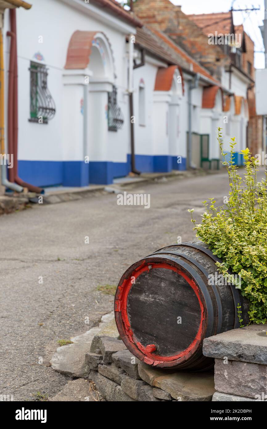 Cantine Terezin, Moravia meridionale, Repubblica Ceca Foto Stock