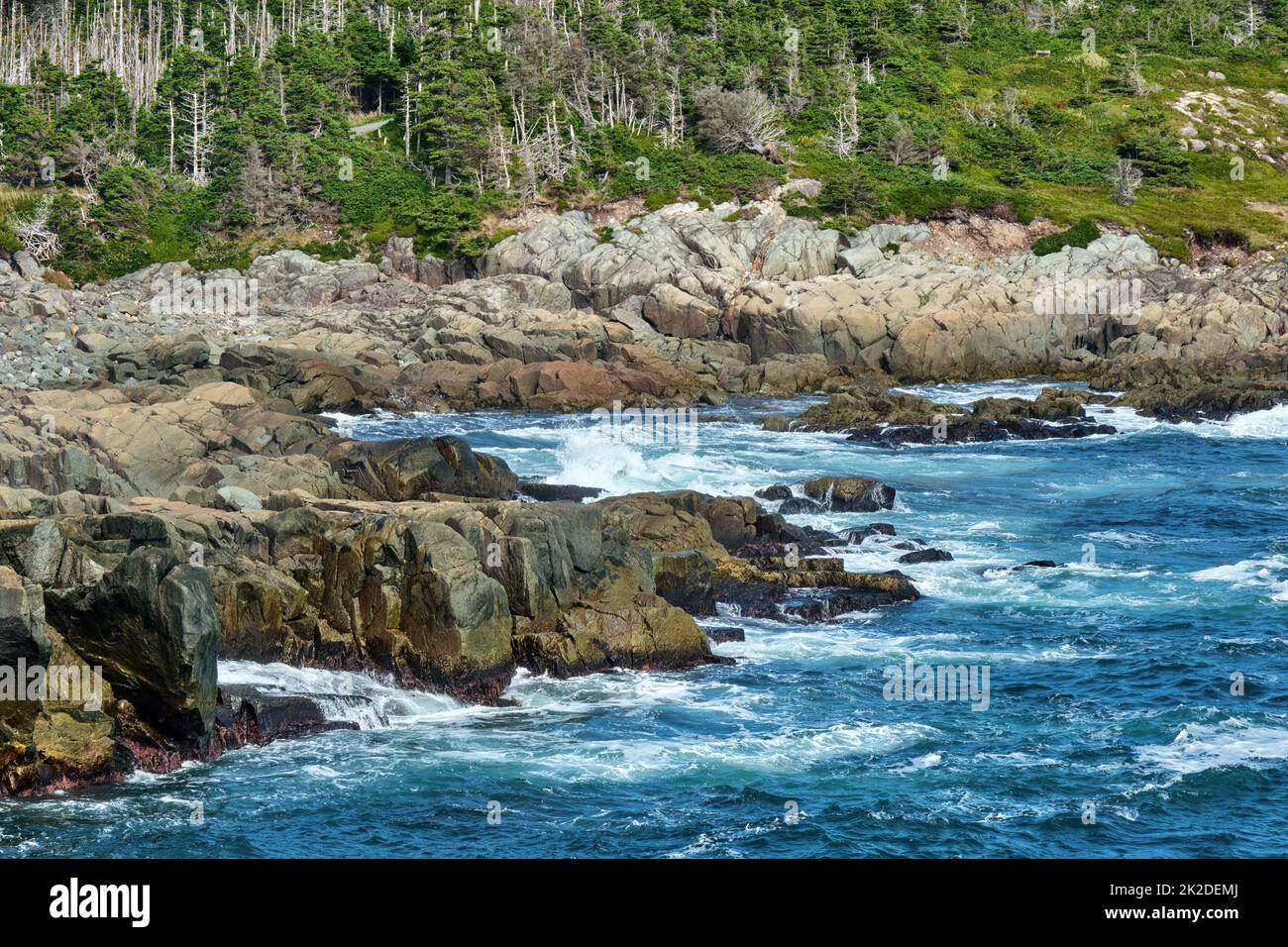 Onde forti batter la costa frastagliata di Capo Breton vicino a Louisbourg Nova Scotia. Foto Stock