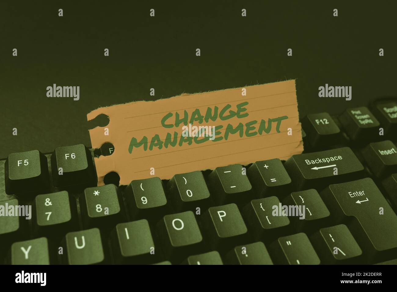 Ispirazione che mostra il segno Change Management. Sviluppo del concetto del Internet all'interno di un'azienda o di un'organizzazione simile che scrive lo scritto del codice del programma, astratto che scarica il nuovo giornale in linea Foto Stock