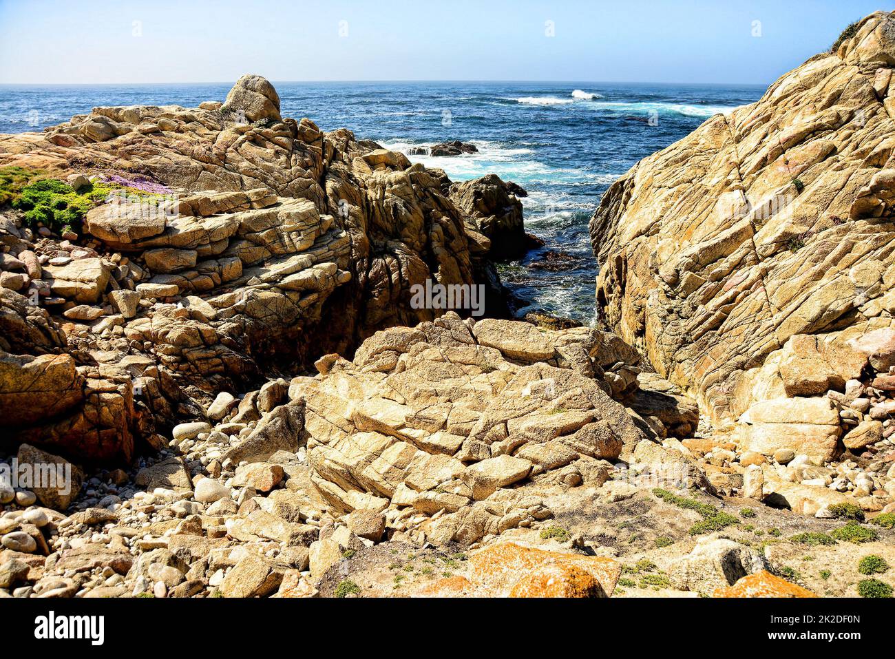 Asilomar state Marine Reserve California Foto Stock