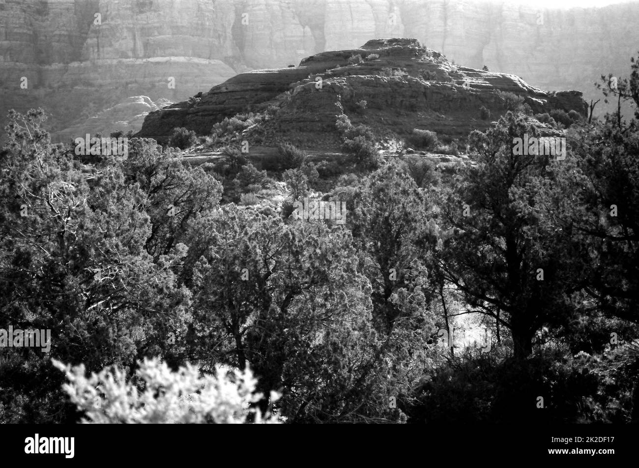 Montagne dell'Arizona di Sedona Foto Stock