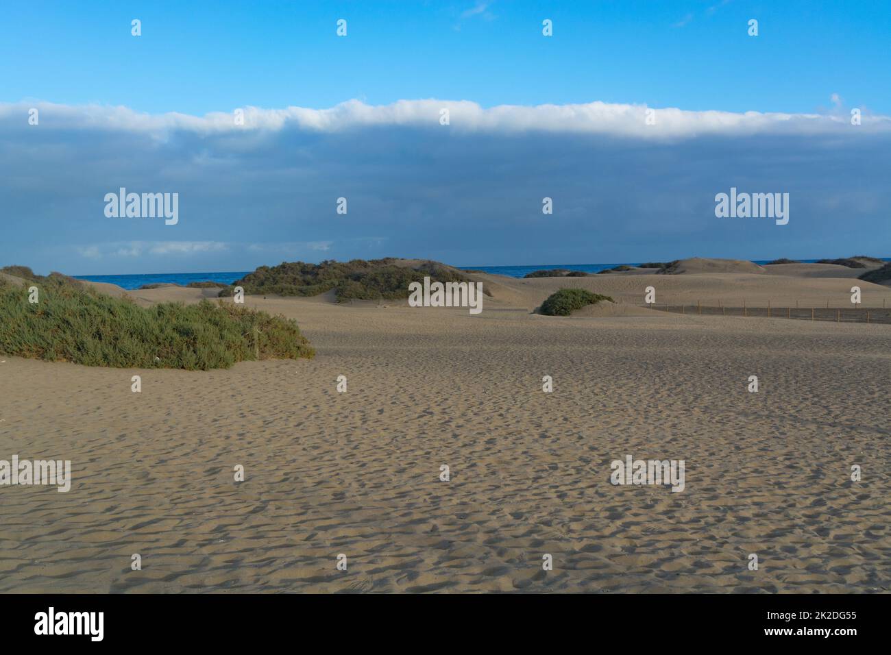 Scultura del vento - dune di sabbia, Maspalomas, Cran Canaria Foto Stock