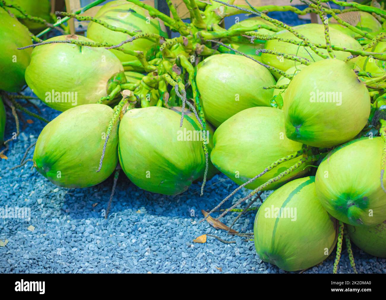 Gruppo di cocco fresco verde per cibi crudi e bevande salutari Foto Stock