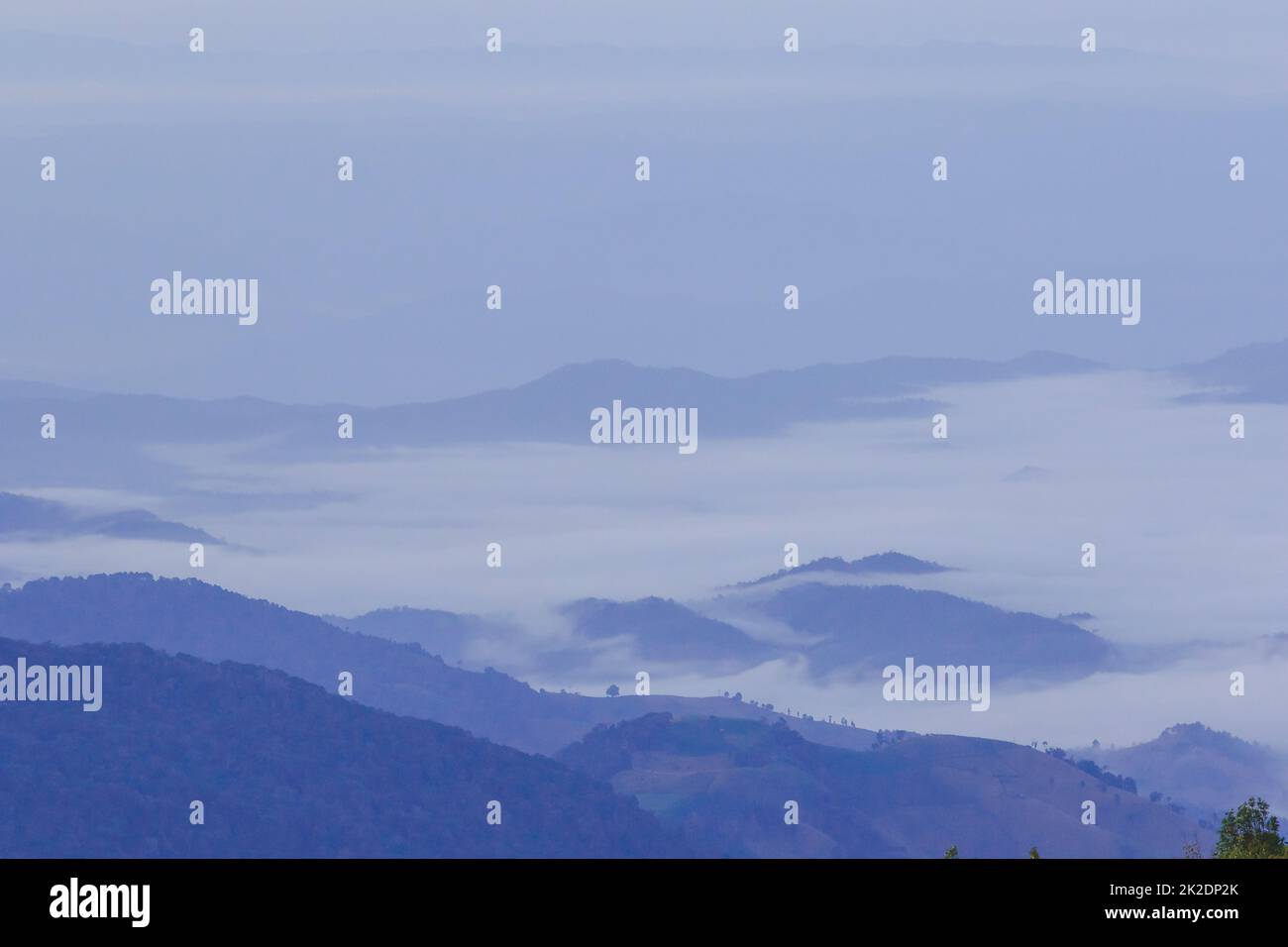 Il paesaggio del mattino sulla montagna con nebbia copre la foresta. Foto Stock
