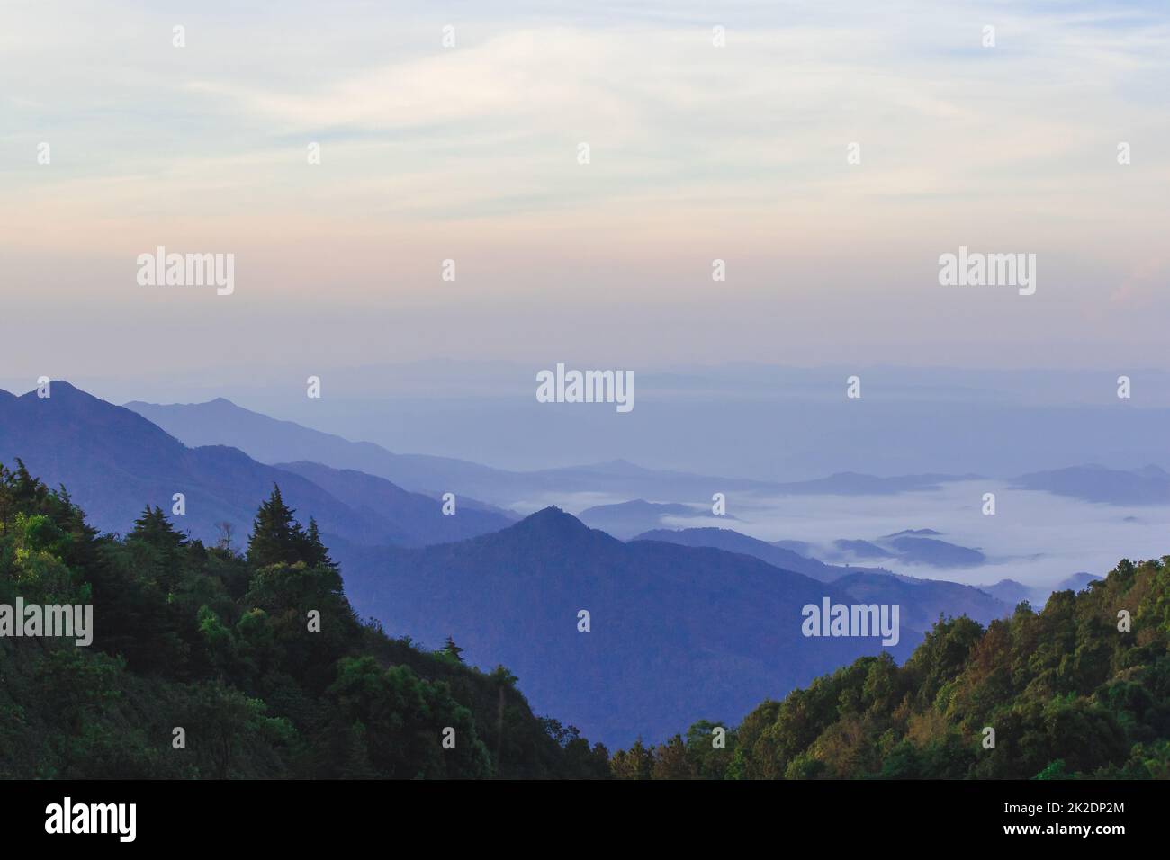 Il paesaggio del mattino sulla montagna con nebbia copre la foresta. Foto Stock