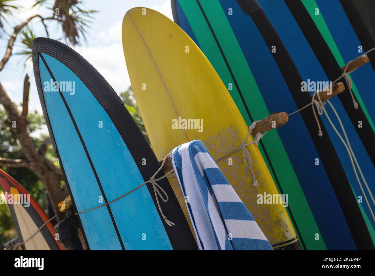 Stack di tavole da surf diverse per un noleggio sulla spiaggia Foto Stock