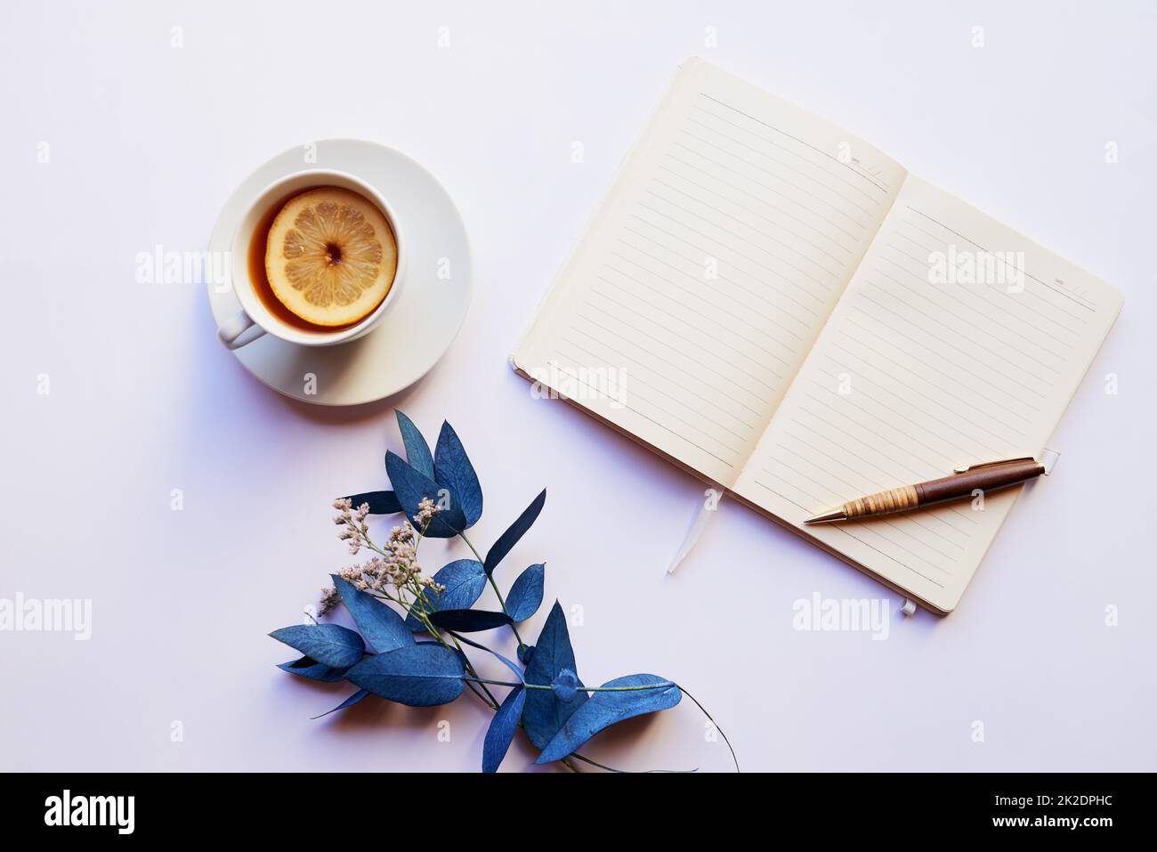 L'ambiente perfetto per tutte le tue idee creative. Foto di studio di un diario e penna posizionati con altri oggetti di vita fissa su uno sfondo grigio. Foto Stock