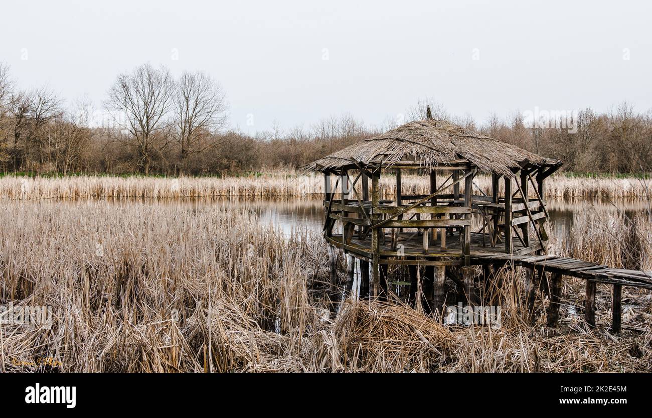 Un piccolo gazebo in legno sul lago ricoperto di canneti. Foto Stock Un piccolo gazebo in legno sul lago ricoperto di canneti. Foto Stock