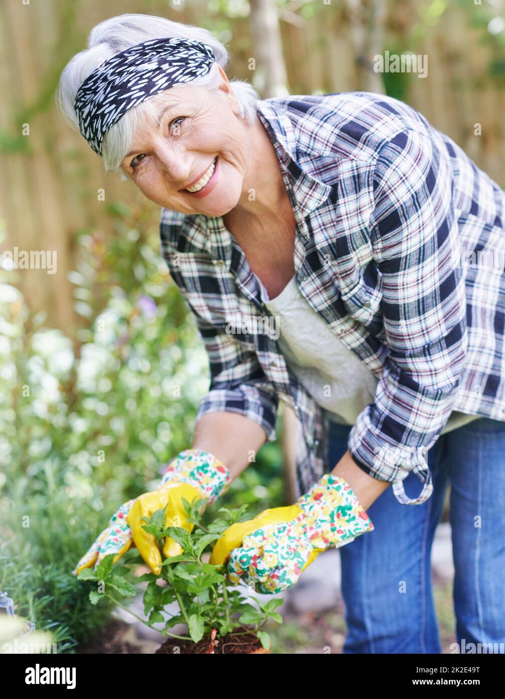 Non sapevo mai di avere un pollice verde. Una donna anziana felice giardinaggio nel suo cortile posteriore. Foto Stock