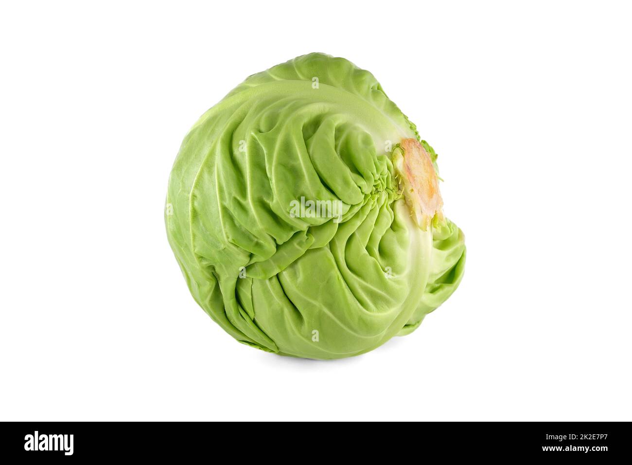 Cavolo isolati su sfondo bianco Foto Stock