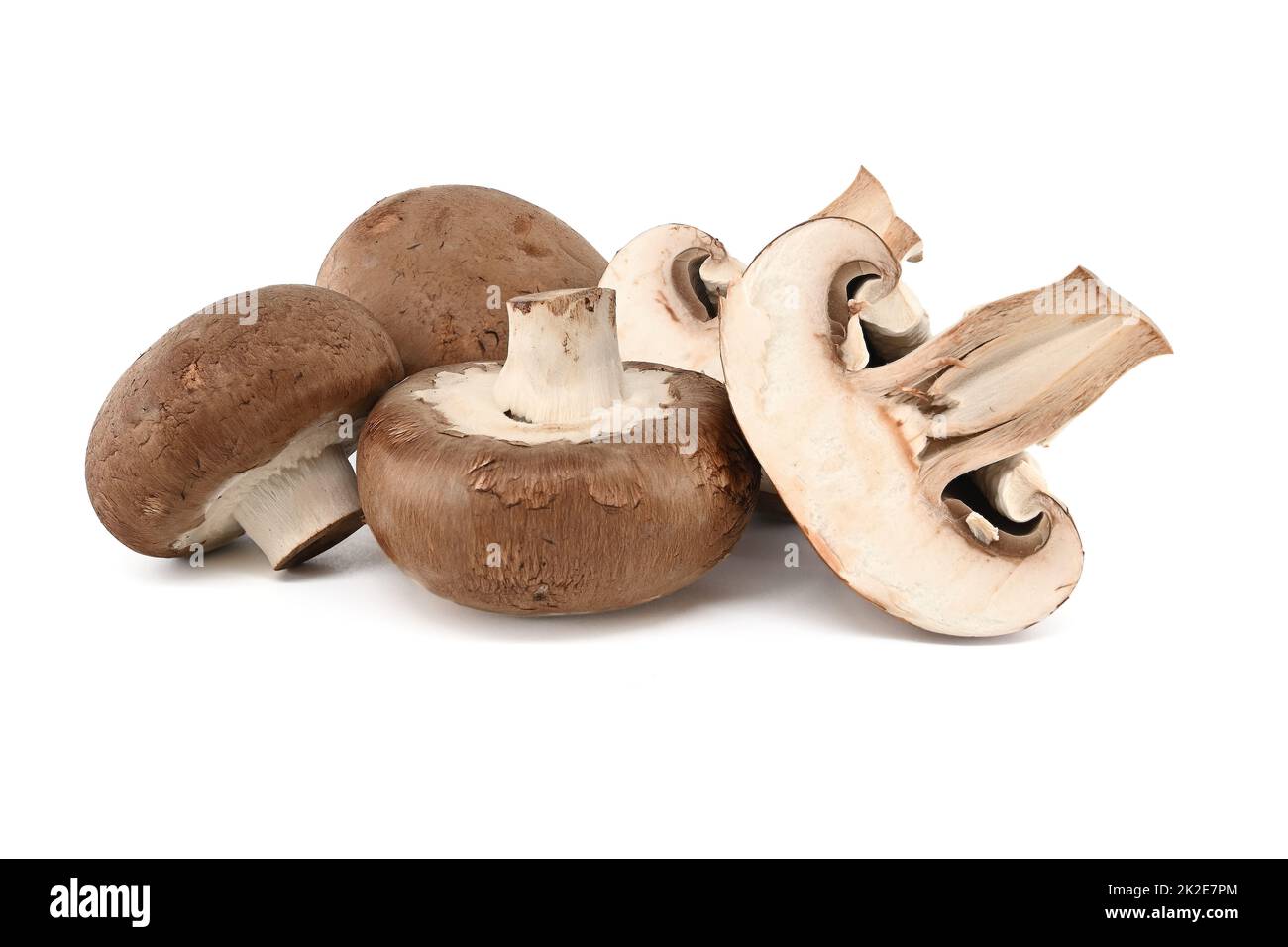 Funghi porcini (Baby Bella) freschi Foto Stock