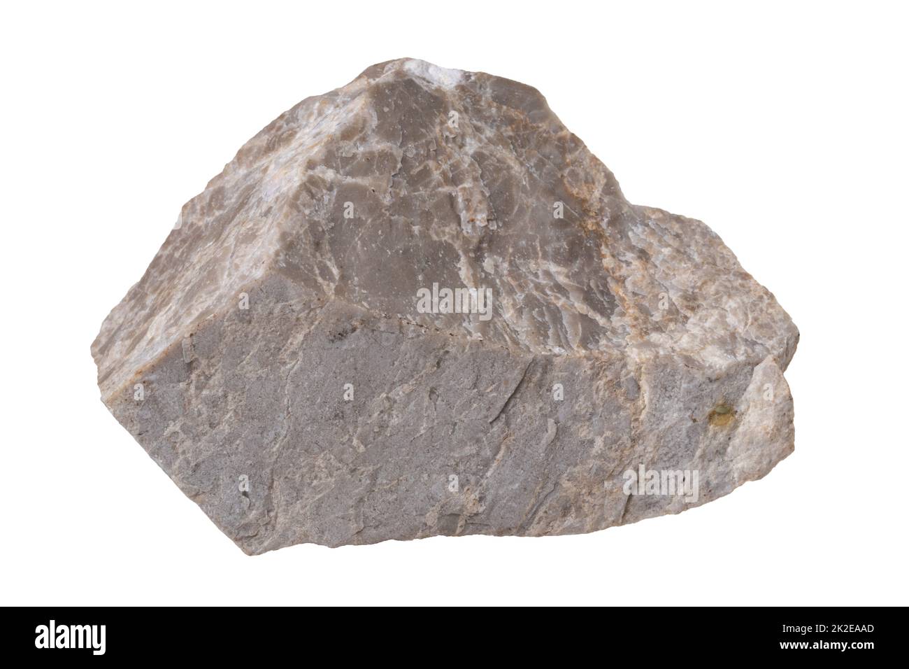Minerali isolati. Primo piano di un campione di roccia sedimentaria naturale, un conglomerato calcareo grigio o bianco isolato su sfondo bianco. Foto Stock