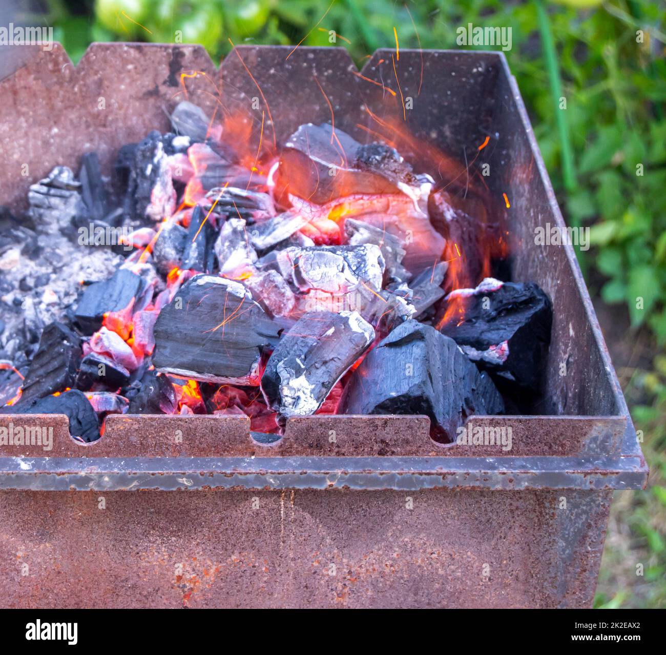 Calici caldi con scintille in primo piano sul grill, sfondo naturale, all'aperto, in estate Foto Stock