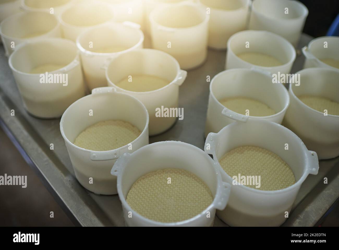 Si raffredda nel formaggio. Shot ad alto angolo di secchi di prodotti lattiero-caseari pronti per essere trasformati in formaggio in una fabbrica in azienda. Foto Stock