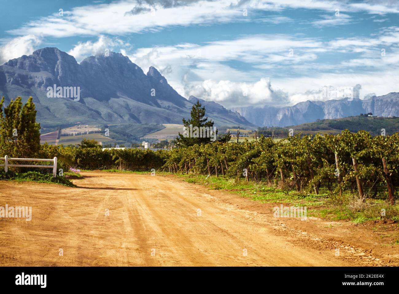 Magnificenza rurale. Foto panoramica di lussureggianti vigneti e pittoresche montagne in lontananza. Foto Stock