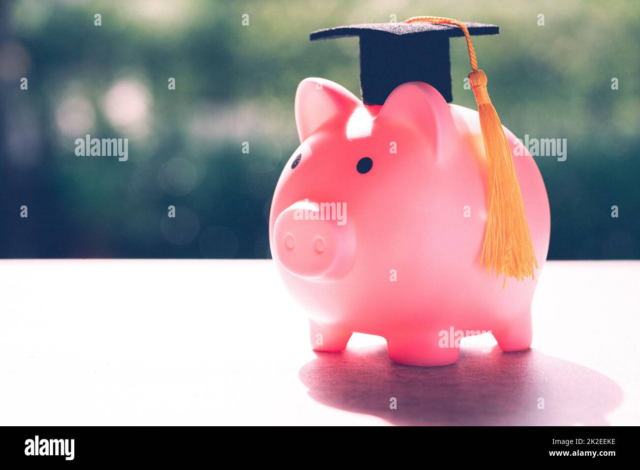 Risparmiare denaro monete in Piggy banca e tappo di laurea, Business finanza concetto di formazione. Foto Stock