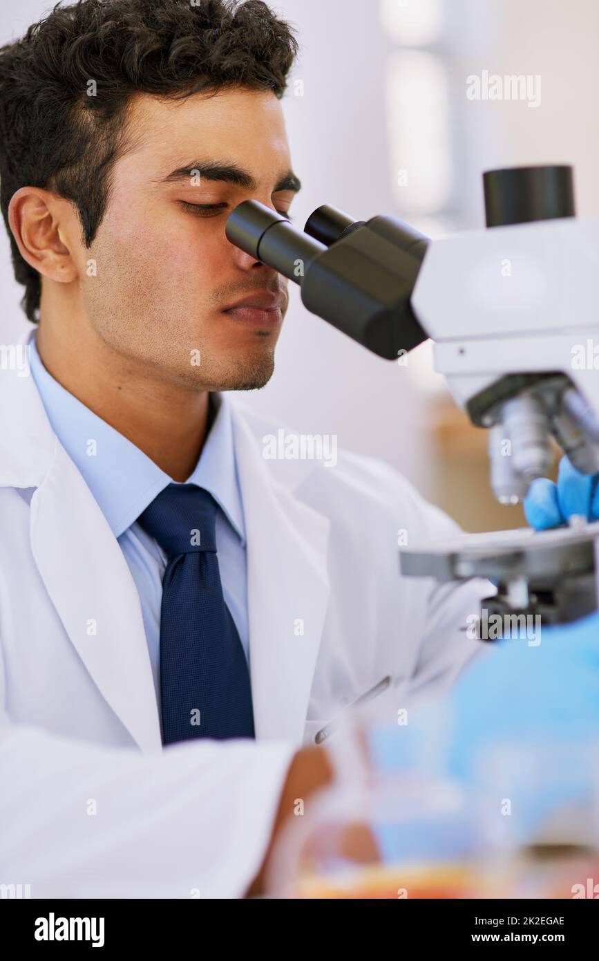 Lavoro duro in laboratorio. Shot di un tecnico di laboratorio utilizzando un microscopio mentre si è seduti in un laboratorio. Foto Stock