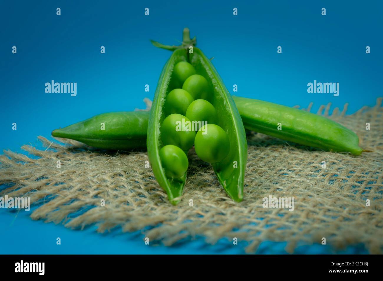 Cialde di piselli e piselli su tela quadrata rustica hessiana Foto Stock
