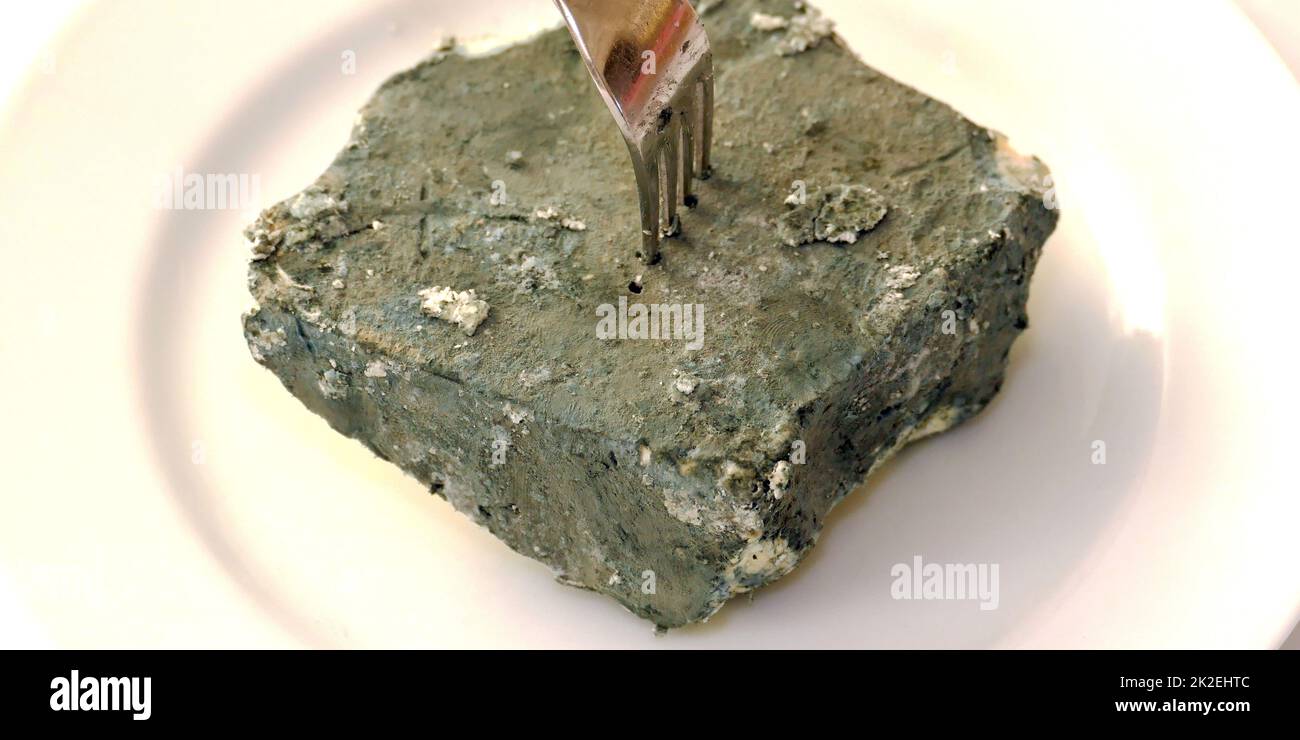 formaggio ammuffito benefici per la salute umana Foto Stock