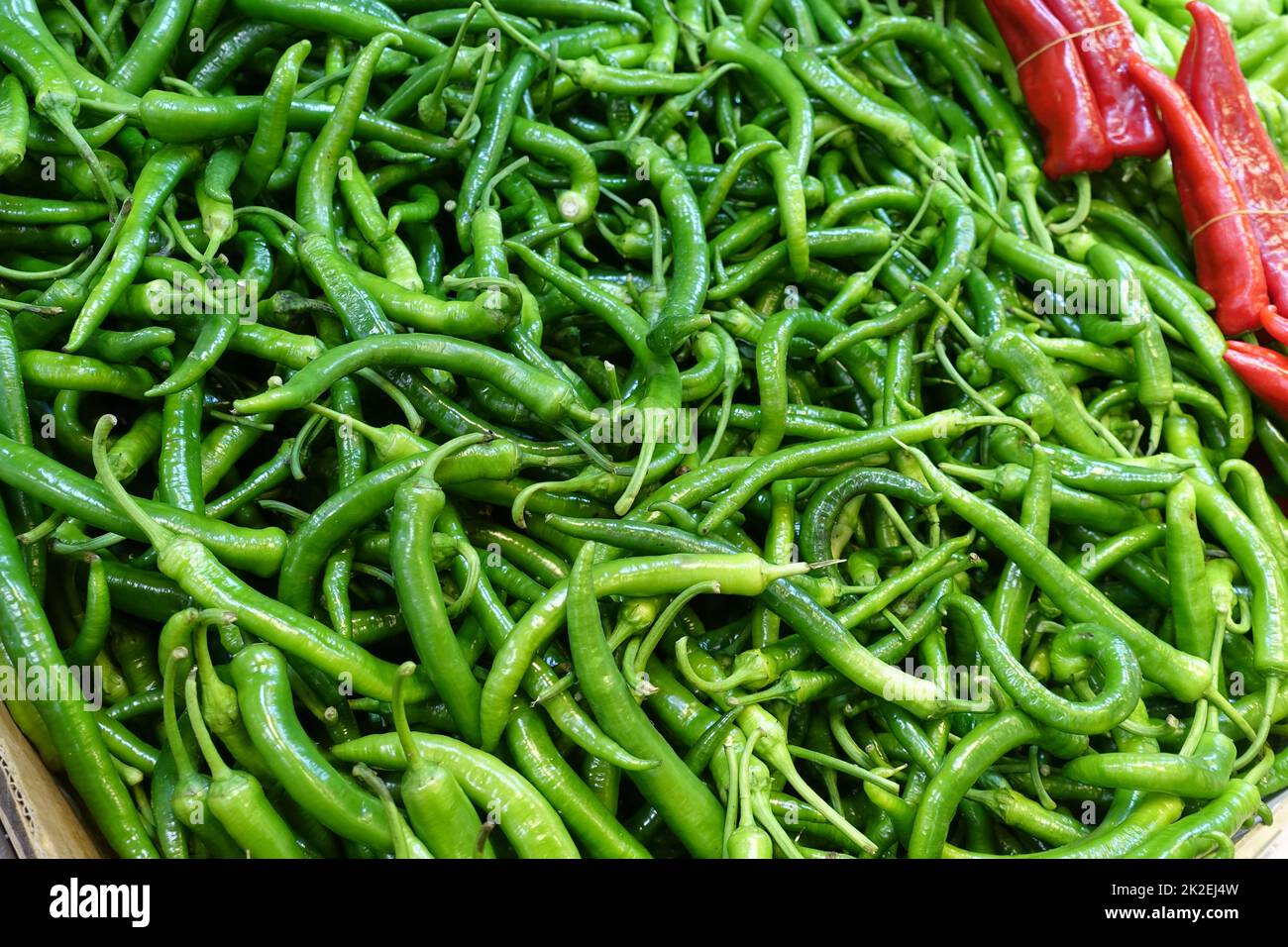 Reparto di alimentari, pepe verde fresco in vendita, grande quantità Foto Stock