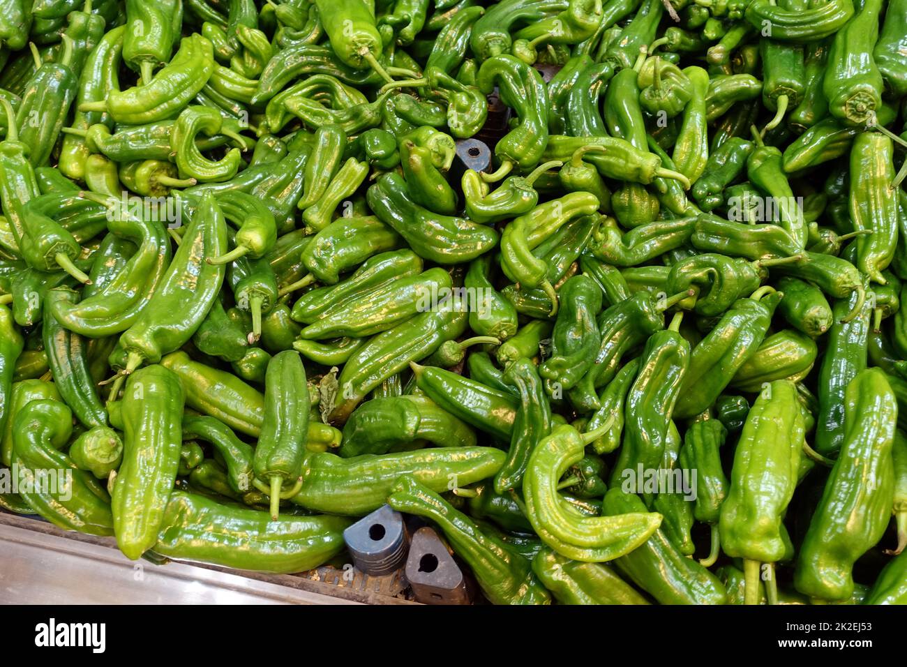 Reparto di alimentari, pepe verde fresco in vendita, grande quantità Foto Stock