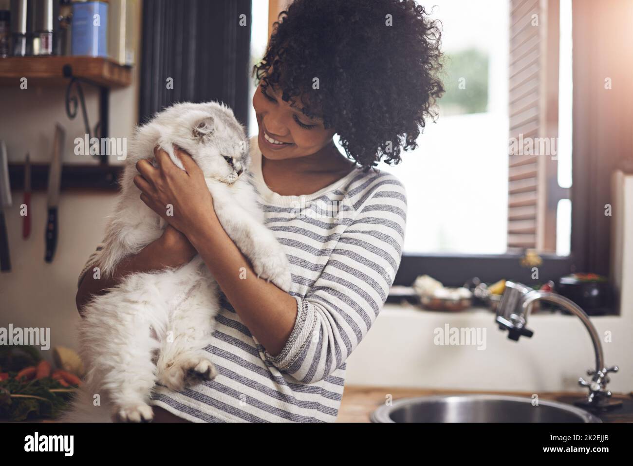 Ti arrenti il più bello. Scatto di una giovane donna che si gode una coccola con il suo gatto. Foto Stock