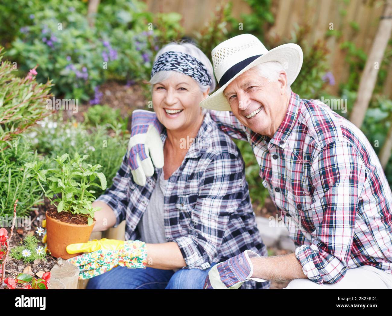 Condividere un amore per il giardinaggio. Una coppia anziana felice di giardinaggio occupato nel loro cortile posteriore. Foto Stock