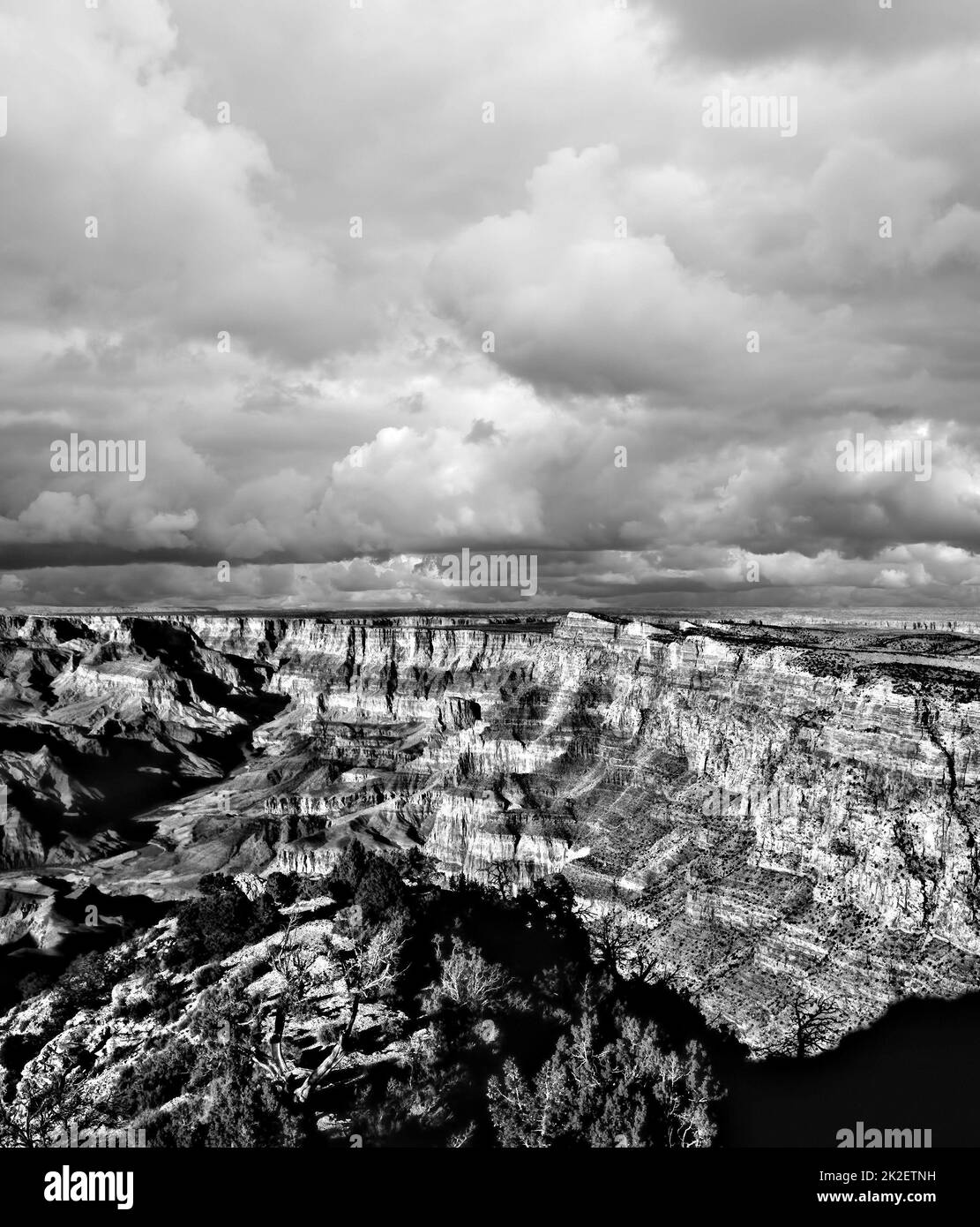 Grand Canyon Arizona bianco e nero Foto Stock